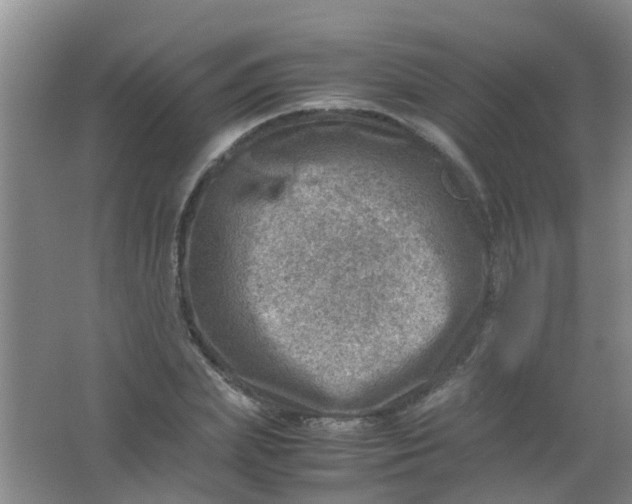 X0000062130831200512231435