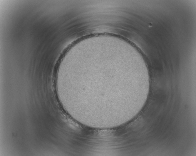 X0000062130832200512231435