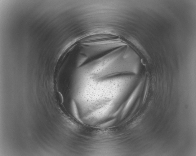 X0000062130834200512231435