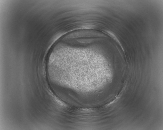 X0000062130835200512231435