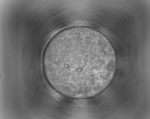 X0000062130836200512231435