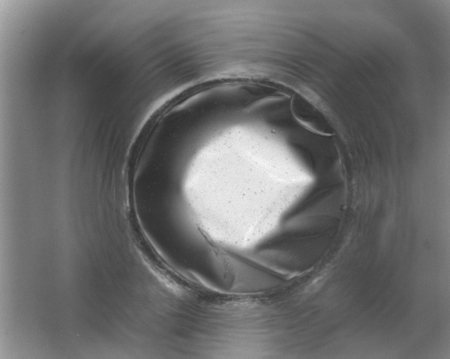 X0000062130838200512231436