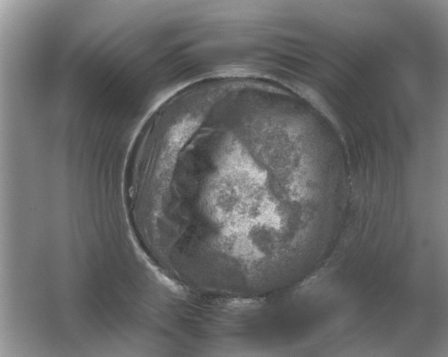 X0000062130839200512231436