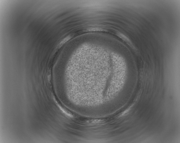 X0000062130841200512231436