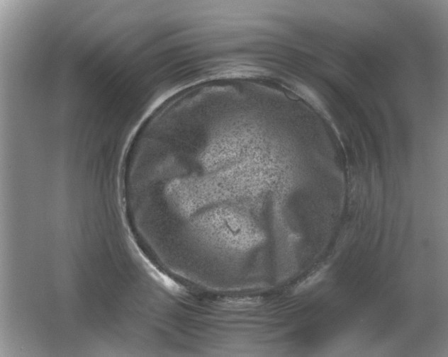 X0000062130843200512231436