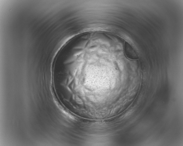 X0000062130844200512231436