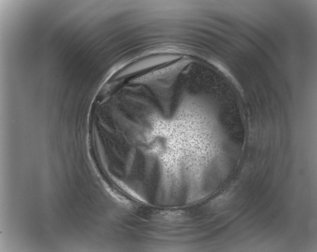 X0000062130845200512231436