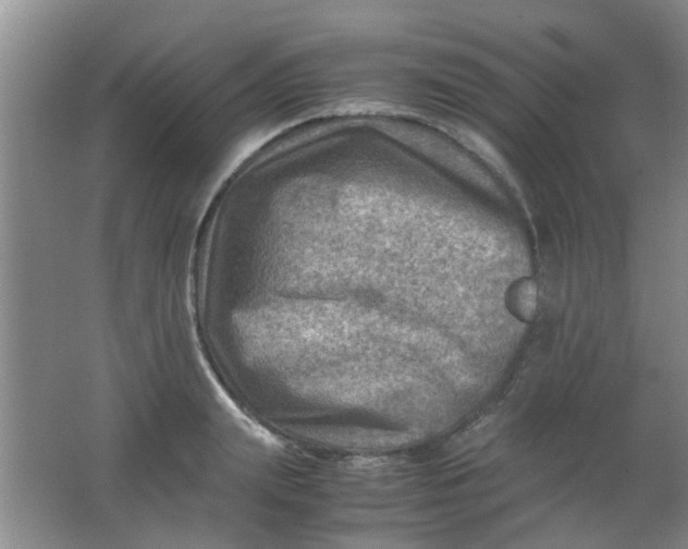 X0000062130847200512231436