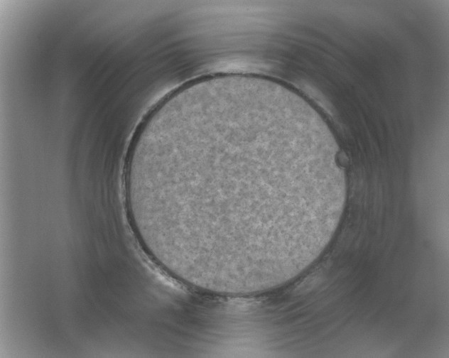 X0000062130848200512231436