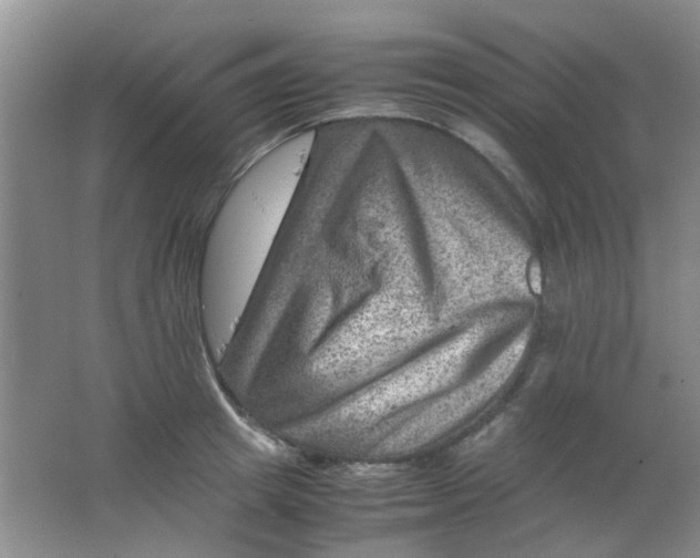 X0000062130849200512231436