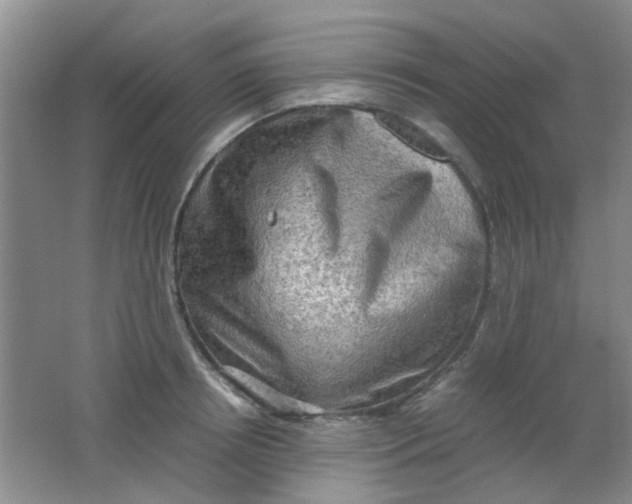 X0000062130850200512231436