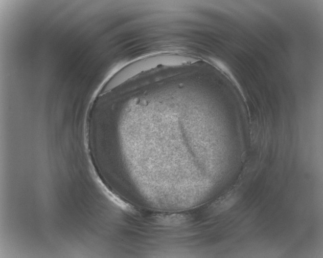 X0000062130851200512231436