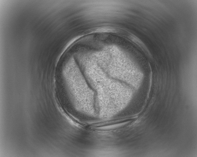 X0000062130852200512231436