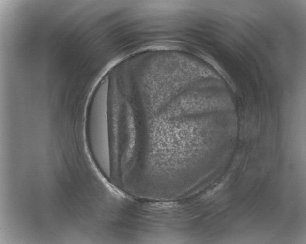 X0000062130853200512231436