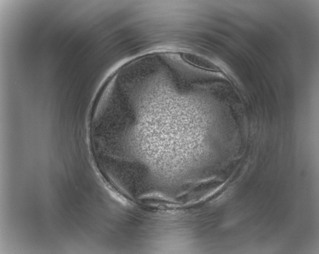 X0000062130854200512231436