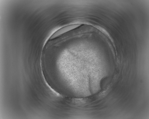 X0000062130855200512231436