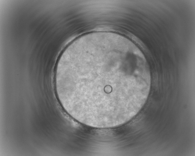 X0000062130856200512231436