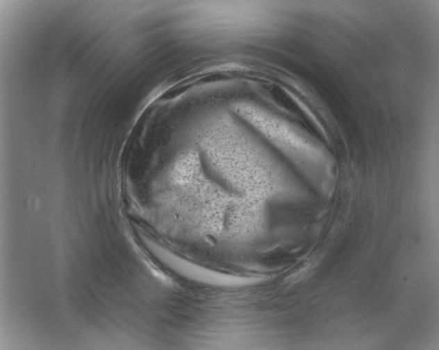 X0000062130858200512231436