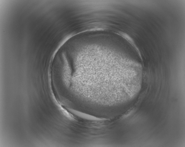 X0000062130859200512231436