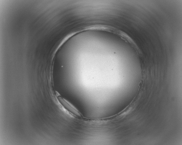 X0000062130860200512231436