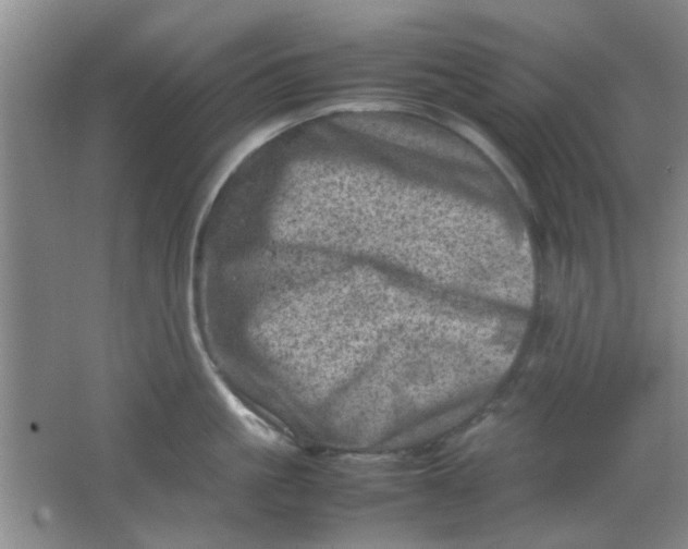 X0000062130861200512231436