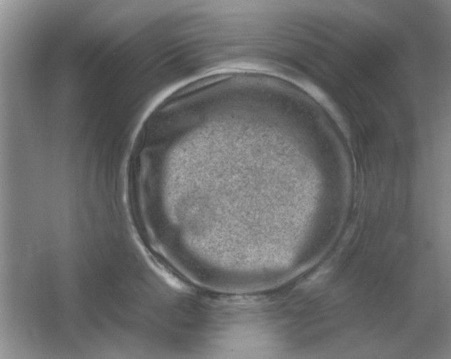 X0000062130862200512231436