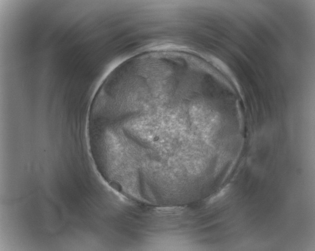 X0000062130863200512231436