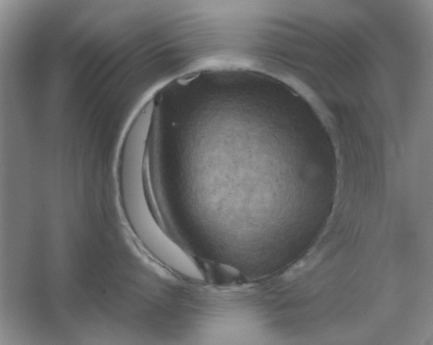 X0000062130864200512231436