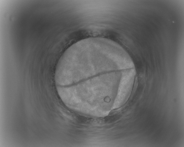 X0000062130865200512231435