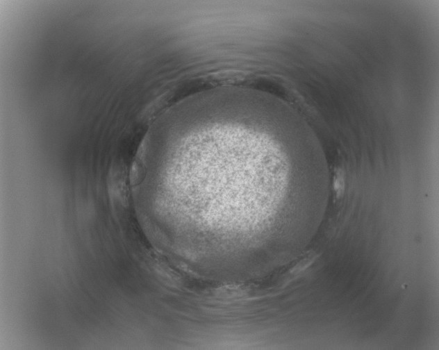 X0000062130867200512231435