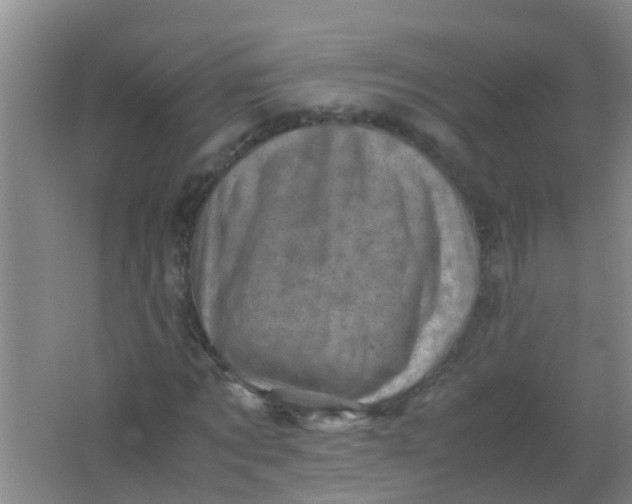 X0000062130869200512231435