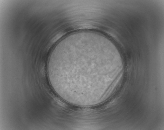 X0000062130873200512231435