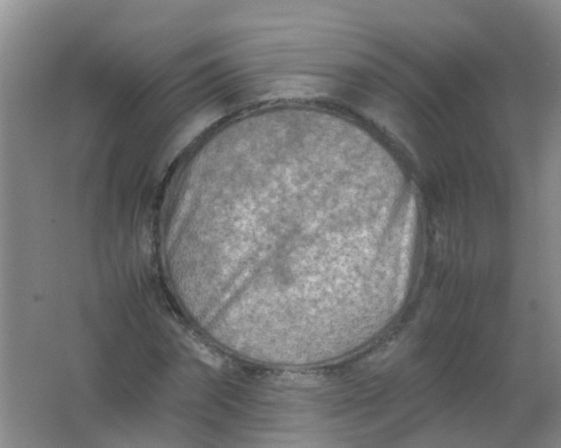 X0000062130874200512231435