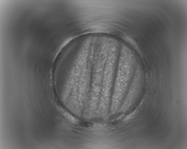 X0000062130875200512231435