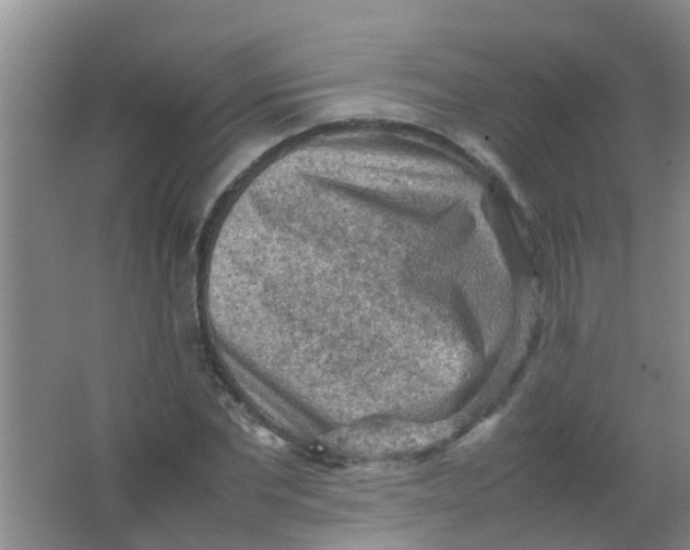 X0000062130877200512231435