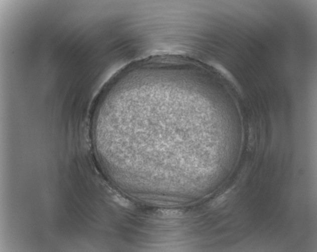 X0000062130878200512231435