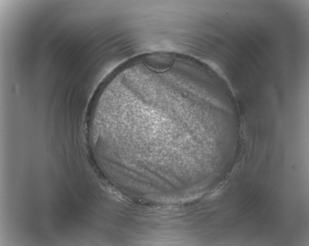 X0000062130879200512231435