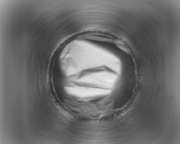 X0000062130880200512231435