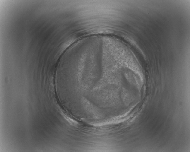 X0000062130881200512231435