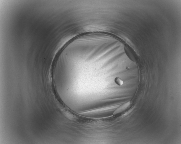 X0000062130885200512231435