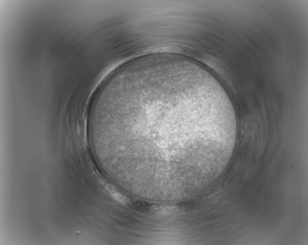 X0000062130886200512231435