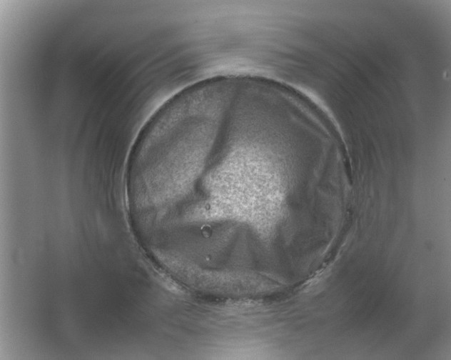 X0000062130887200512231435