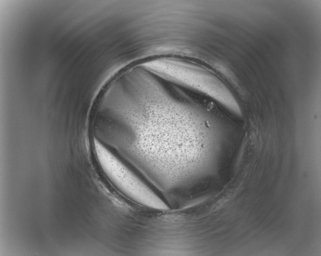 X0000062130888200512231435