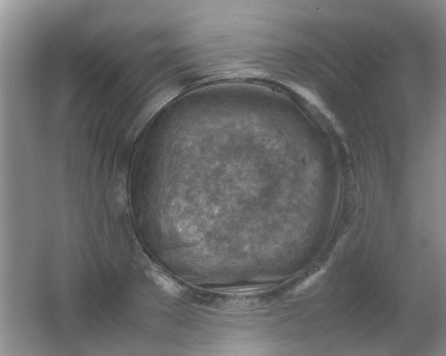 X0000062130889200512231435