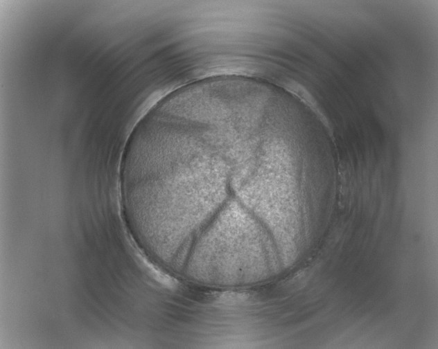 X0000062130890200512231435