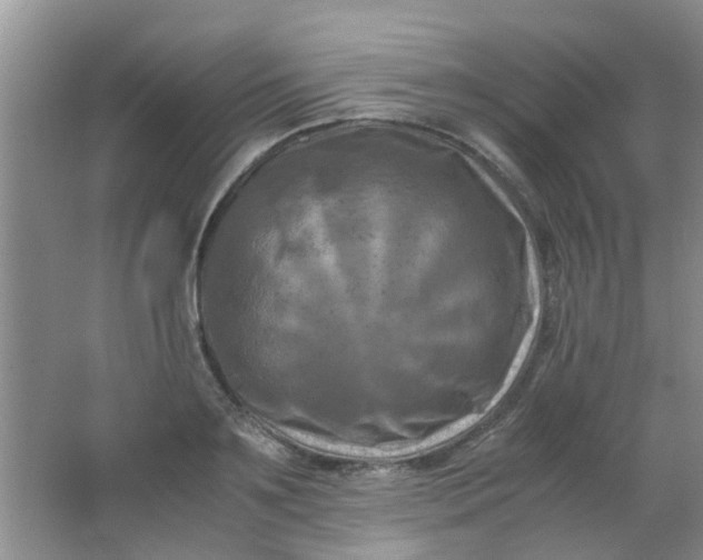 X0000062130891200512231435