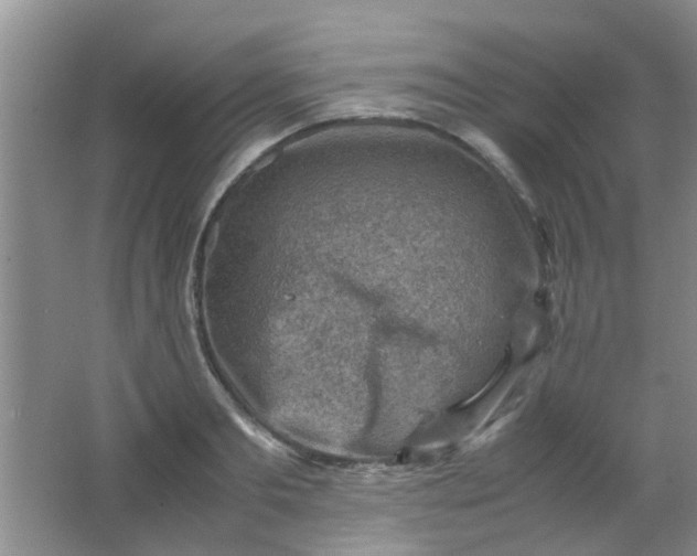 X0000062130893200512231435