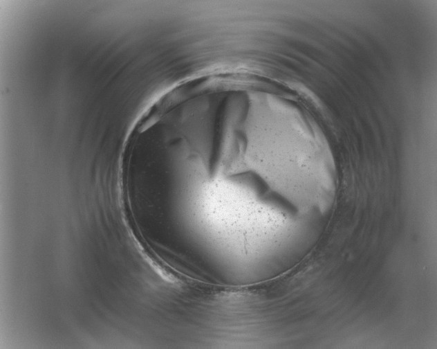 X0000062130894200512231435