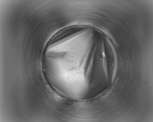 X0000062130896200512231435