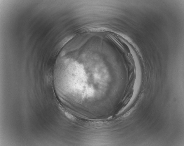 X0000062130897200512231435